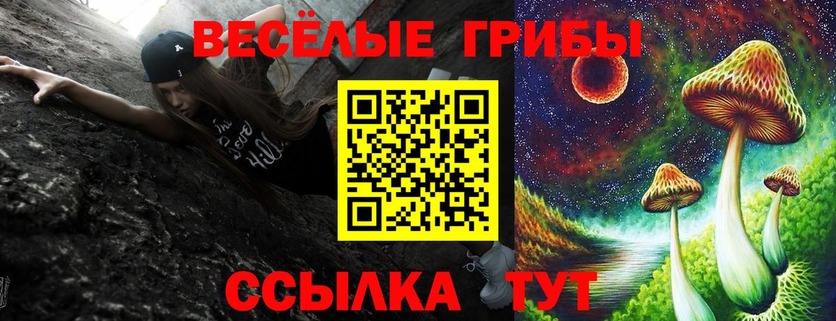 Псилоцибиновые грибы прущие грибы  Вход с VPN  Галлюциногенные грибы GOLDEN TEACHER  Ессентуки 