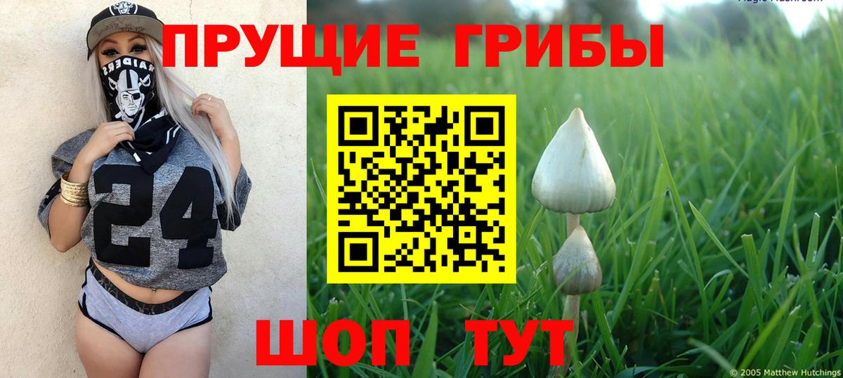 Галлюциногенные грибы MAGIC MUSHROOMS Ессентуки